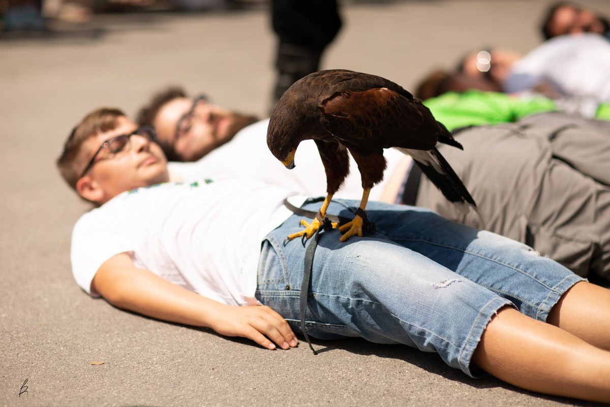 lucca medievale 2018