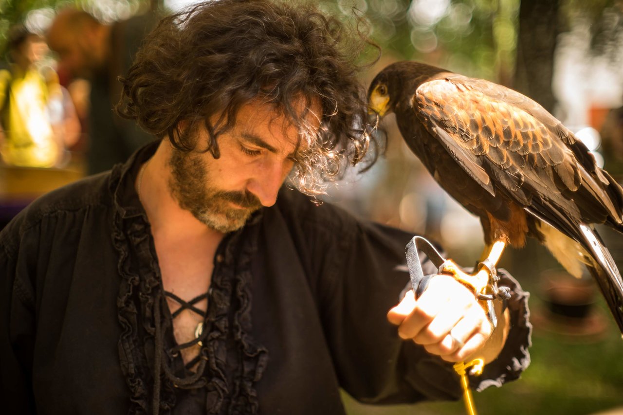 🦅 Replica alle accuse del WWF Alta Toscana sulla falconeria illegale a Lucca Medievale