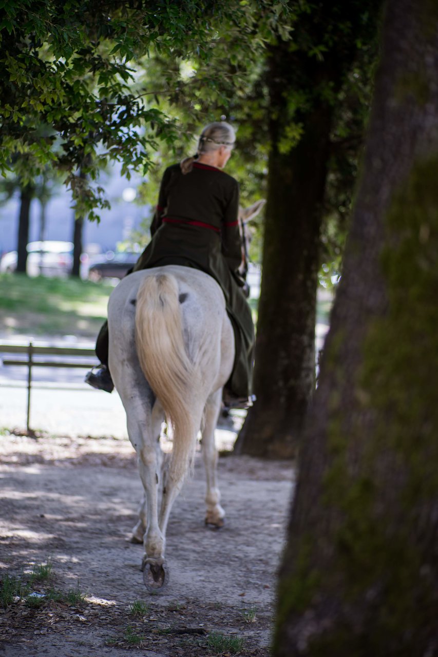 lucca medievale 2018
