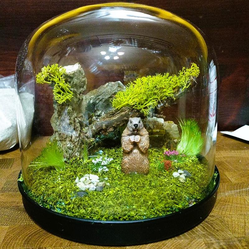 secondo palio marmotta