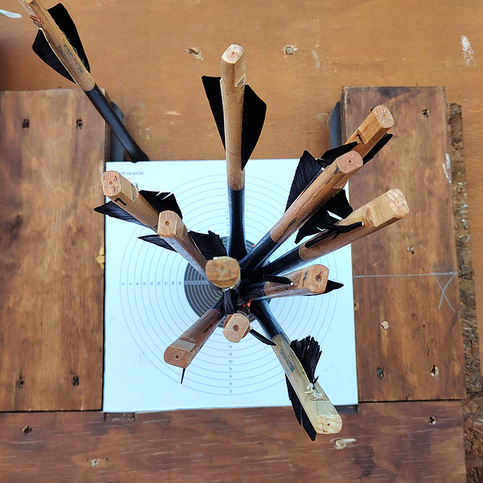 XI colleganza bersaglio singolo squadra